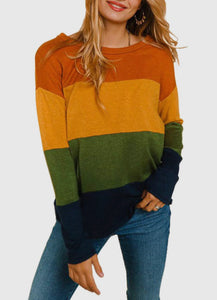 Multicolor Color Block Long Sleeve Top